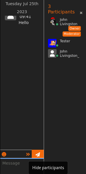 Screenshot chatové relace, vpravo seznam účastníků.